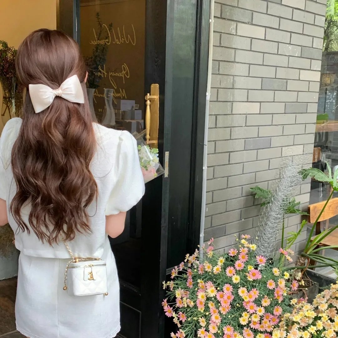 海龟奇妙之旅