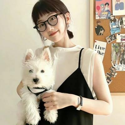 我是海鸥